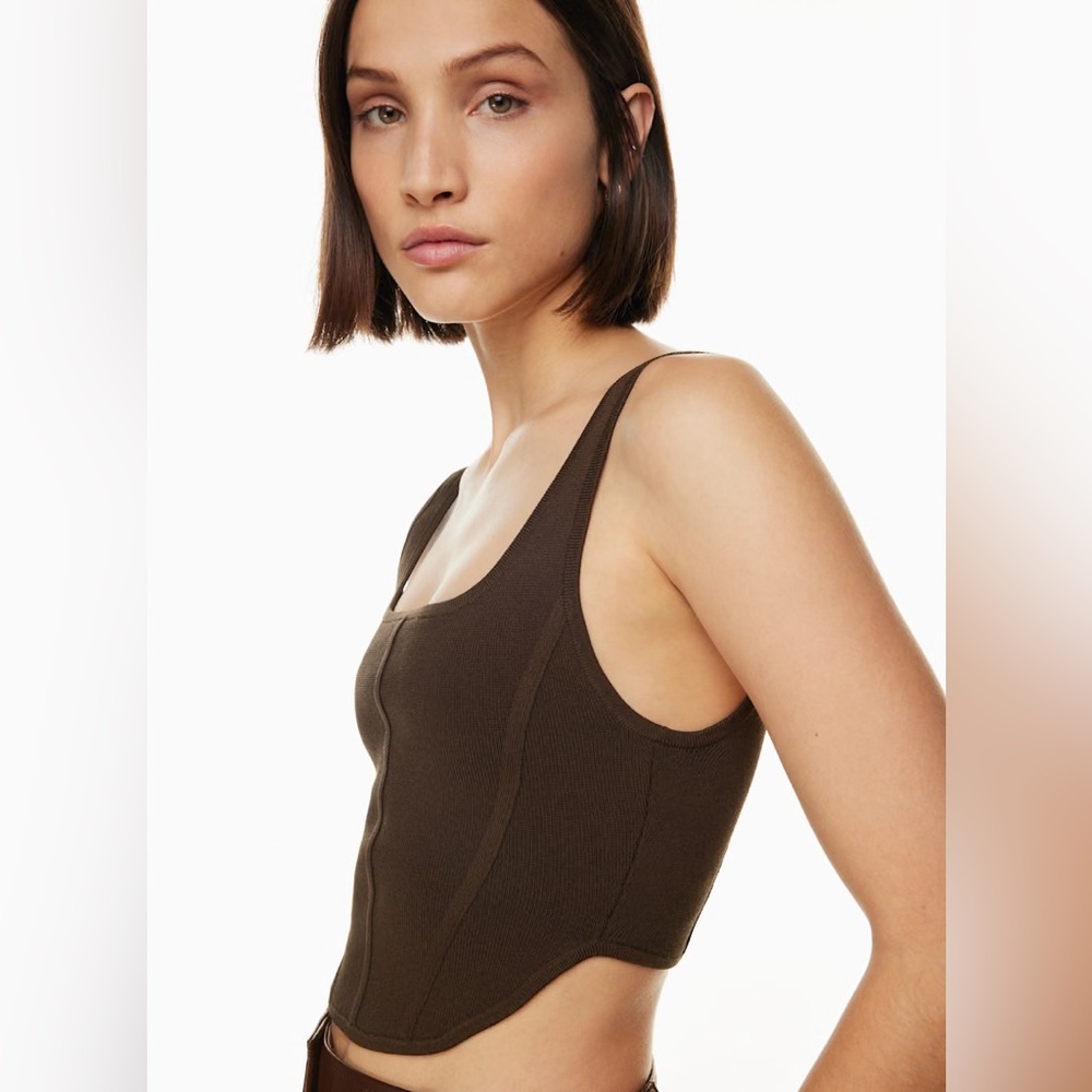 EUC Aritzia Babaton Chocolate Sculpt Knit Bustier Tank Top XS